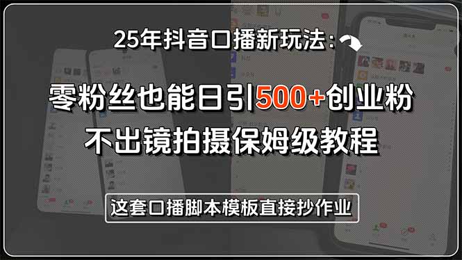 25年抖音口播新玩法：零粉丝也能日引500+创业粉，不出镜拍摄保姆级教程…-藏宝阁