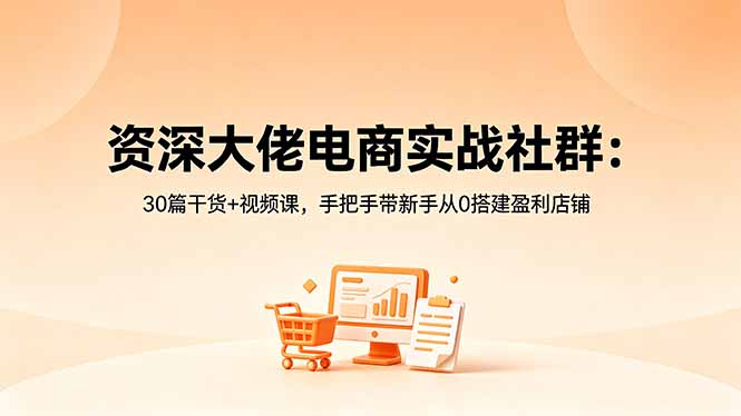 资深大佬电商实战社群：30篇干货+视频课，手把手带新手从0搭建盈利店铺-藏宝阁