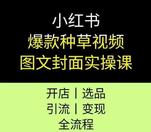 小红书爆款种草视频图文封面实操课，开店、选品、引流、变现全流程-藏宝阁