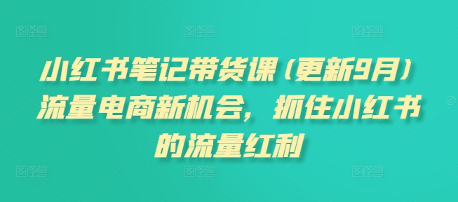 小红书笔记带货课(更新25年4月)流量电商新机会，抓住小红书的流量红利-藏宝阁