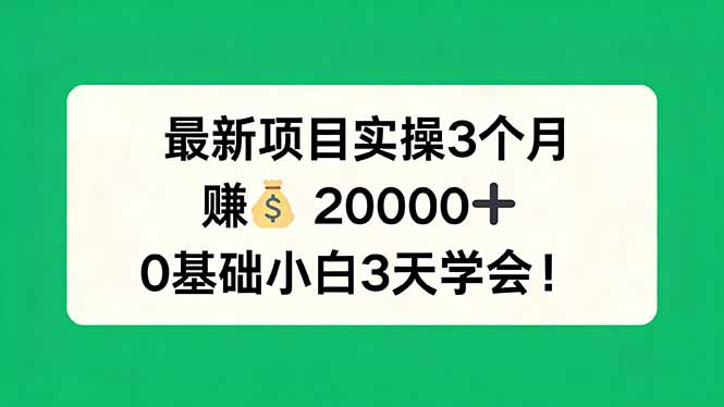 最新项目实操3个月，赚钱20000+，0基础小白3天学会！-藏宝阁
