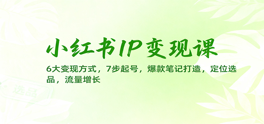 小红书IP变现课：6大变现方式，7步起号，爆款笔记打造，定位选品，流量增长-藏宝阁