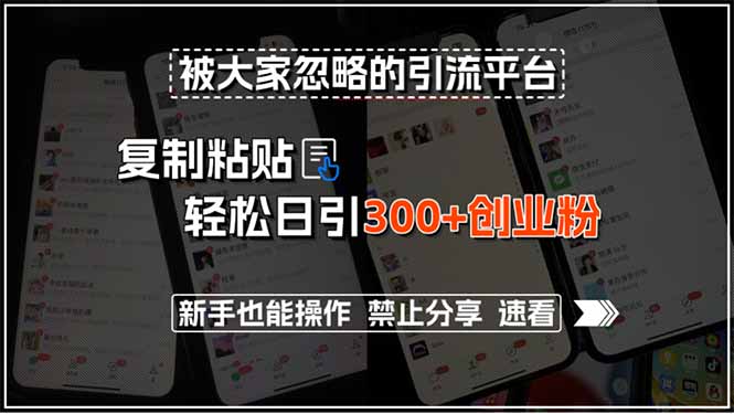 被大家忽略的引流平台，复制粘贴轻松日引300+创业粉，新手也能操作，禁…-藏宝阁