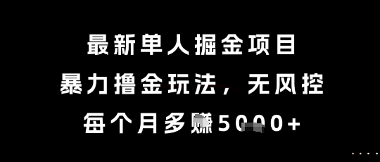 最新单人掘金项目，暴力撸金玩法，无风控，每个月多挣5k+【揭秘】-藏宝阁