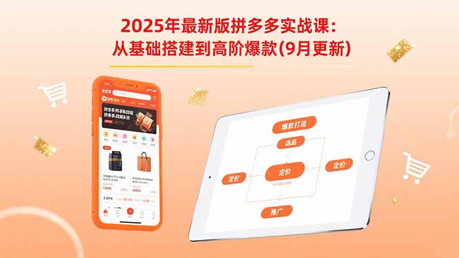 2025年最新版拼多多实战课：从基础搭建到高阶爆款(9月更新-藏宝阁