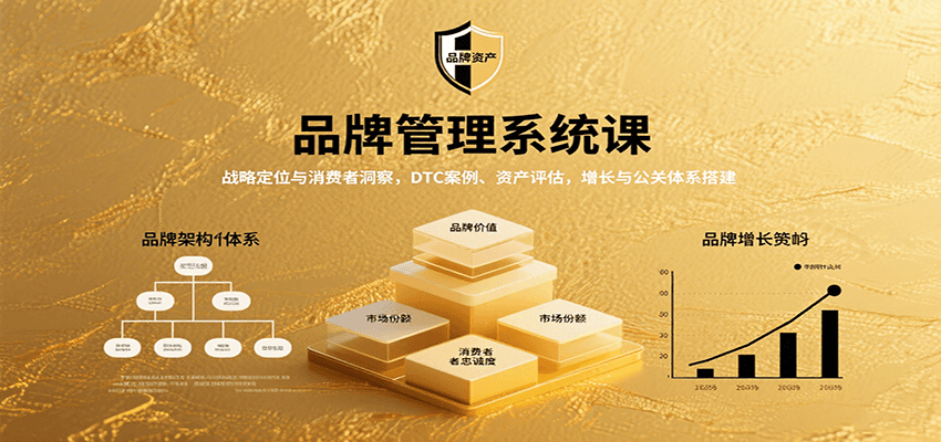 品牌管理系统课：战略定位与消费者洞察，DTC案例、资产评估，增长与公关体系搭建-藏宝阁