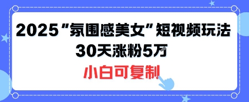 不露脸也能火！2025“氛围感美女”短视频玩法，30天涨粉5W小白可复制-藏宝阁