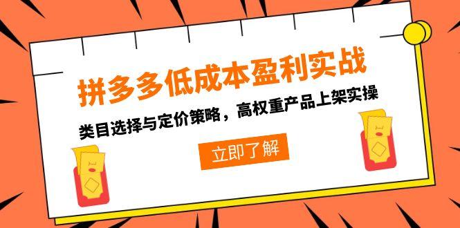 拼多多低成本盈利实战，类目选择与定价策略，高权重产品上架实操-藏宝阁
