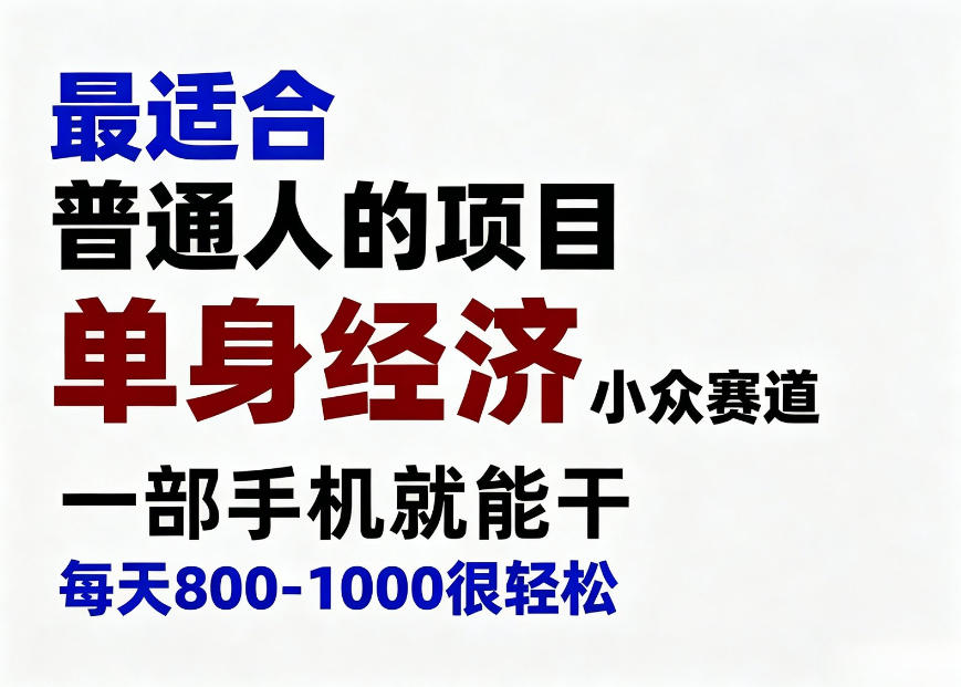 身经济小众赛道，一部手机就能干，每天搞个800-1000很轻松，最适合普通人的项目【揭秘】-藏宝阁