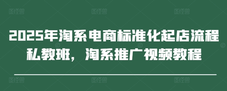 2025年淘系电商标准化起店流程私教班，淘系推广视频教程-藏宝阁