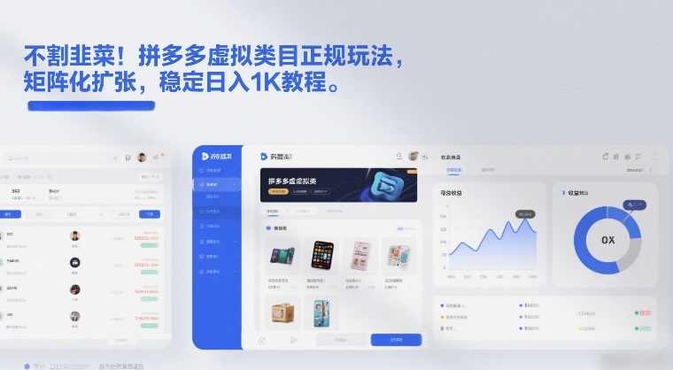 不割韭菜！拼多多虚拟类目正规玩法，矩阵化扩张，稳定日入1K教程【揭秘】-藏宝阁