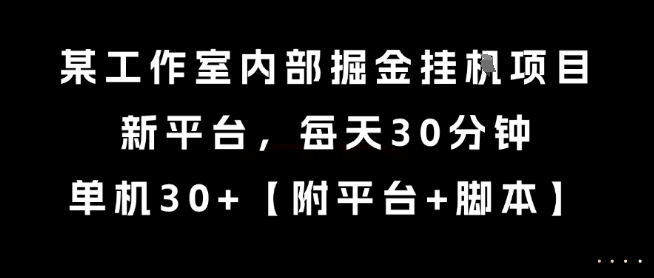 某工作室内部掘金挂G项目，新平台，每天30分钟，单机30+【揭秘】-藏宝阁