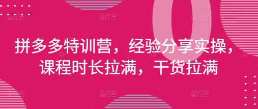 拼多多特训营，经验分享实操，课程时长拉满，干货拉满(更新25年4月)-藏宝阁