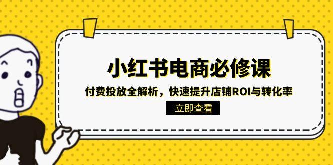 小红书电商必修课：付费投放全解析，快速提升店铺ROI与转化率-藏宝阁