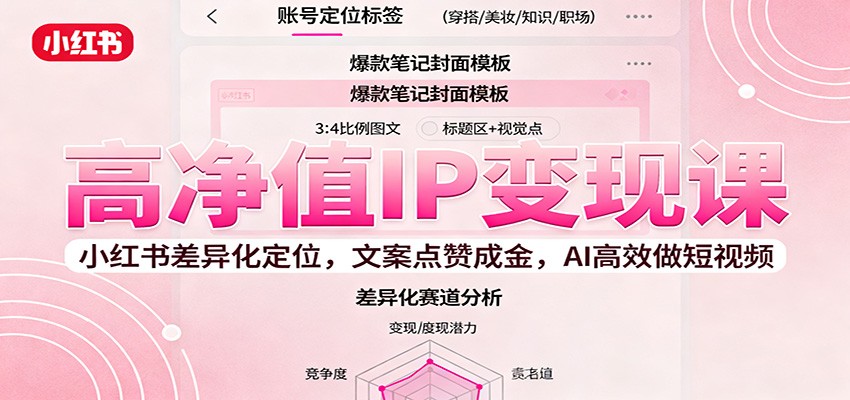 高净值IP变现课：小红书差异化定位，文案点赞成金， AI高效做短视频-藏宝阁