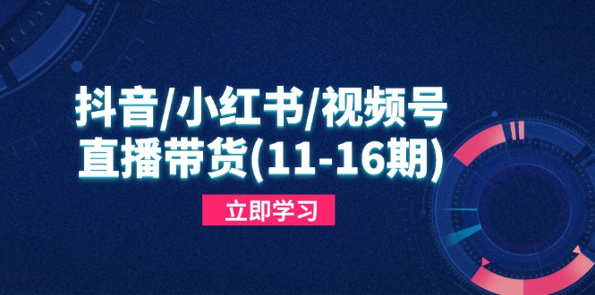 抖音/小红书/视频号/直播带货(11-16期-藏宝阁
