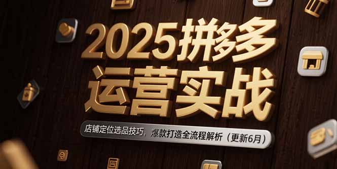 2025拼多多运营实战：店铺定位选品技巧，爆款打造全流程解析(更新6月-藏宝阁