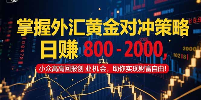掌握外汇黄金对冲策略，日赚 800 – 2000，小众高回报创业机会，助你实…-藏宝阁