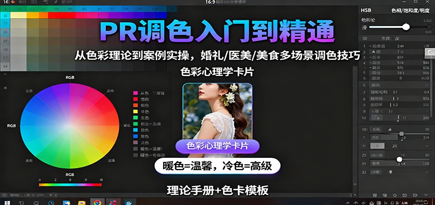 PR调色入门到精通：从色彩理论到案例实操，婚礼/医美/美食多场景调色技巧-藏宝阁