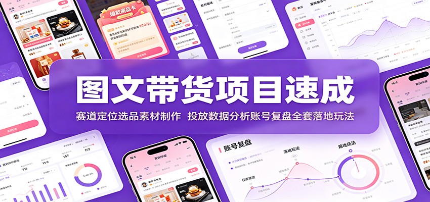 图文带货项目速成：赛道定位选品素材制作，投放数据分析账号复盘全套落地玩法-藏宝阁