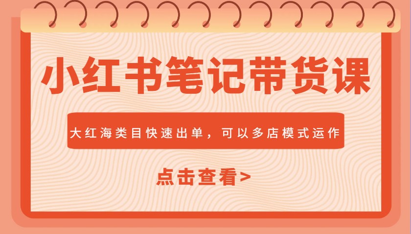 小红书笔记带货课，大红海类目快速出单，市场大，可以多店模式运作(更新)-藏宝阁