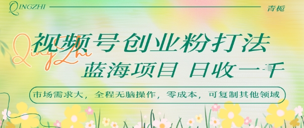 视频号创业粉打法，日入1k，蓝海项目，市场需求大，全程无脑操作，可复制-藏宝阁