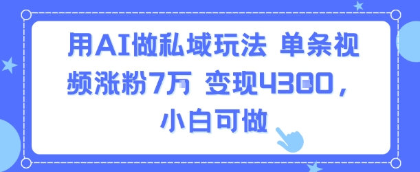 用AI做私域玩法，单条视频涨粉7W变现4.3k，小白可做-藏宝阁
