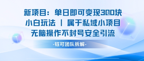 新项目单日即可变现3张的小白玩法无脑操作不封号安全引流-藏宝阁