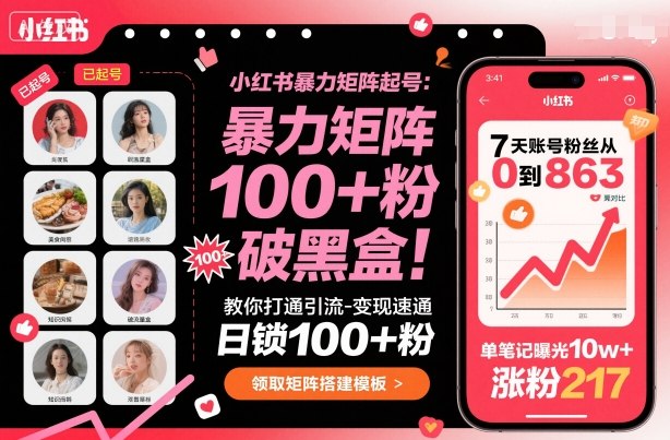 小红书暴力矩阵起号，教你打通引流-变现速通，日锁100+粉，破流量黑盒-藏宝阁