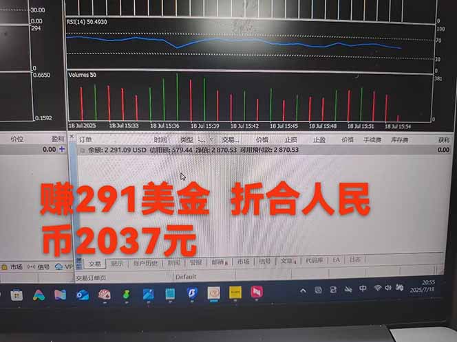图片[4]-稳定8年的美刀搬砖项目，单人每日收益800—3000.团队4人月入10W+.可线下-藏宝阁