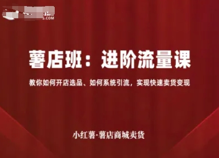 小红薯薯店商城卖货，进阶流量课，教你如何开店选品、如何系统引流，实现快速卖货变现-藏宝阁