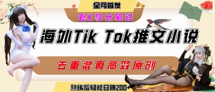 海外tiktok小说推文暴力项目，高停留率，高转化率，上手后一天搞顿饭钱不是问题-藏宝阁