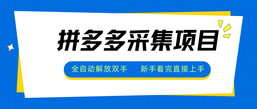 拼多多采集项目，全自动解放双手，单号日入30+-藏宝阁