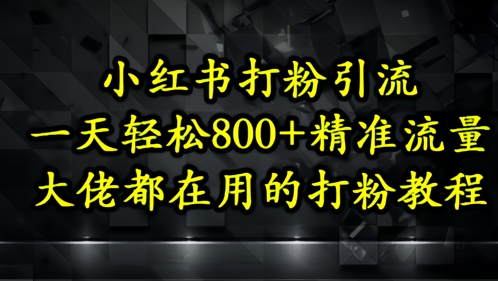小红书打粉引流，一天轻松500+精准流量，大佬都在用的打粉教程-藏宝阁