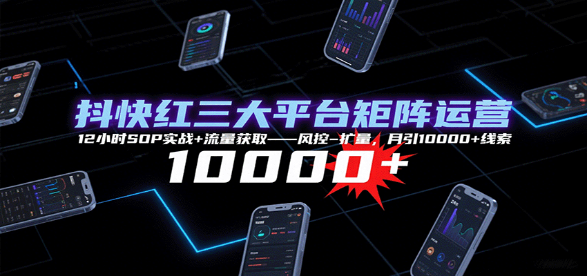 抖快红三大平台矩阵运营，12小时SOP实战+流量获取-风控-扩量，月引10000+线索-藏宝阁