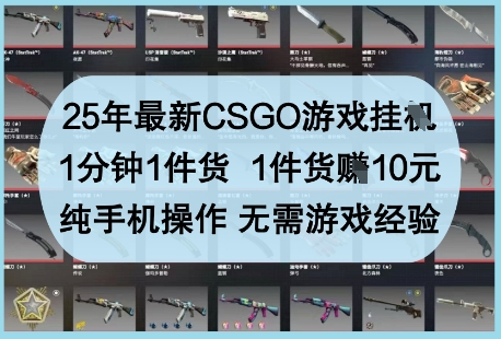 25年最新CSGO游戏挂G，1分钟1件货，1件货挣10元，纯手机操作，无需游戏经验【揭秘】-藏宝阁