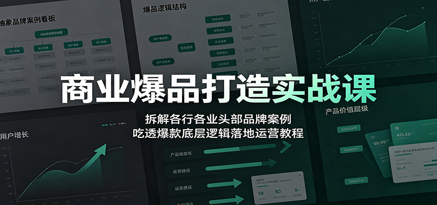 商业爆品打造实战课：拆解各行各业头部品牌案例，吃透爆款底层逻辑落地运营教程-藏宝阁