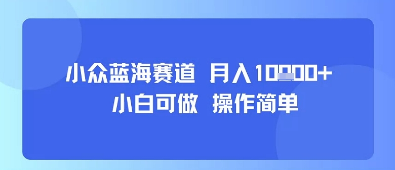 小众蓝海赛道，小白可做，操作简单，每天30分钟，月入1W+-藏宝阁