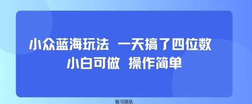 小众蓝海玩法 一天搞了四位数 小白可做 操作简单-藏宝阁