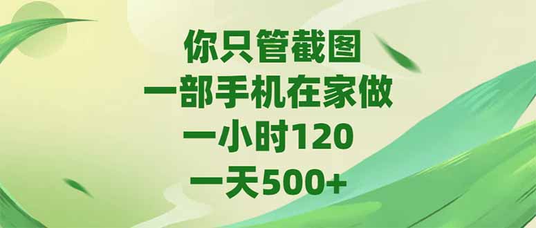 你只管截图，一部手机在家做，一小时120，-天500+-藏宝阁