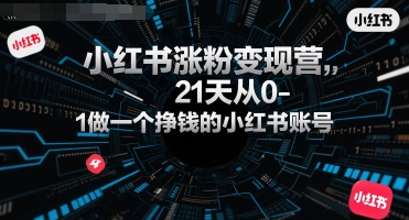 小红书涨粉变现营，21天从0-1做一个挣钱的小红书账号-藏宝阁