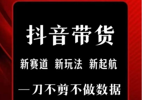 抖音短视频一刀不剪带货，不剪辑，不直播，每天发个视频，等着出单获取带货佣金-藏宝阁