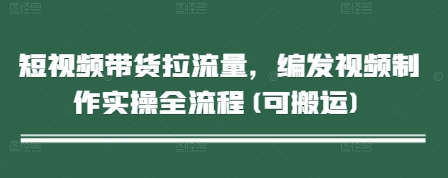 短视频带货拉流量，编发视频制作实操全流程(可搬运)-藏宝阁
