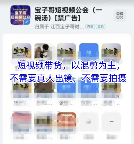 宝子哥头部团队短视频带货，以混剪为主，不需要真人出镜，不需要拍摄【更新12月】-藏宝阁