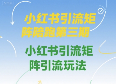 小红书引流矩阵陪跑第三期，小红书引流矩阵引流玩法-藏宝阁