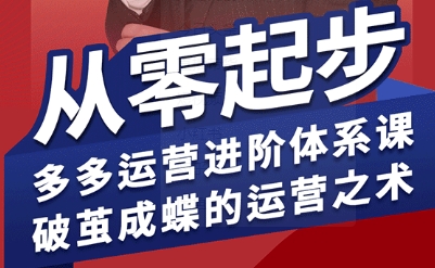 拼多多运营进阶系统课，从零起步，多多运营进阶体系课，破茧成蝶的运营之术-藏宝阁