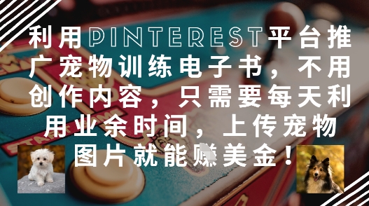 利用Pinterest平台推广宠物训练电子书，不用创作内容，只需要每天利用业余时间，上传宠物图片就能挣美金!-藏宝阁