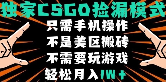 CSGO自动捡漏项目，最新独家玩法，不是美区搬砖，不需要了解和玩游戏，新手小白轻松月入1W+【揭秘】-藏宝阁