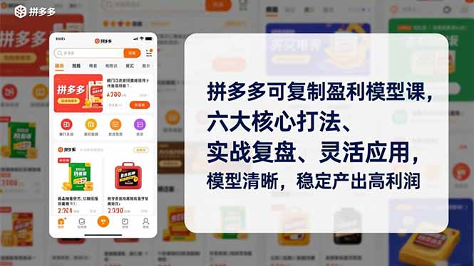 拼多多可复制盈利模型课，六大核心打法、实战复盘、灵活应用，模型清晰，稳定产出高利润-藏宝阁