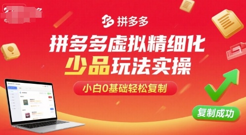 拼多多虚拟精细化少品玩法实操，小白0基础轻松复制-藏宝阁
